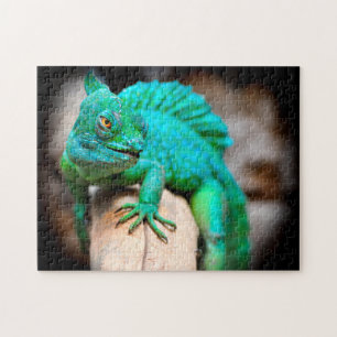 Cerco de la Iguana Verde, rompecabezas de Jigsaw