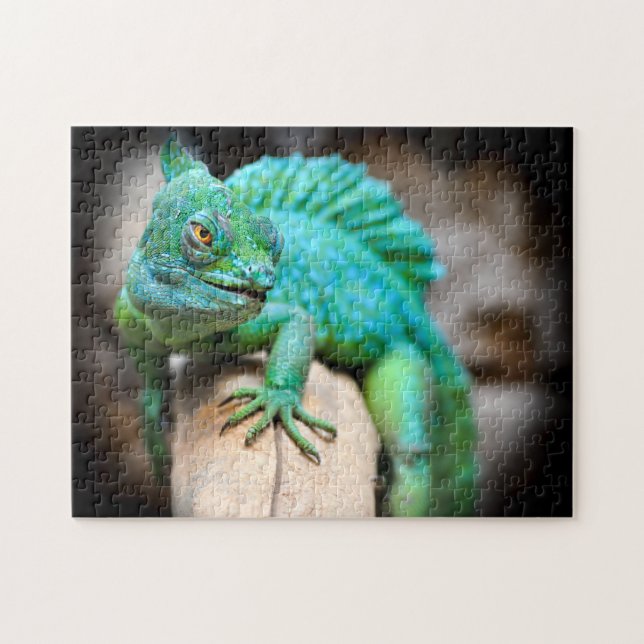 Cerco de la Iguana Verde, rompecabezas de Jigsaw (Horizontal)