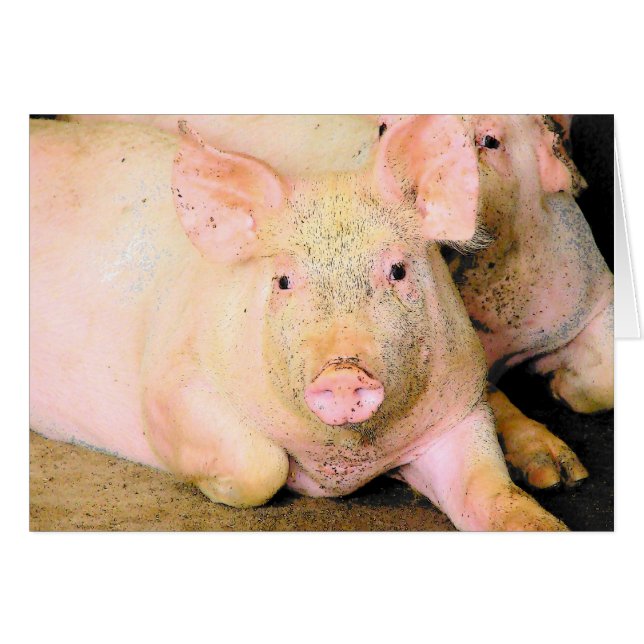 Cerdo (Anverso (Horizontal))