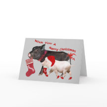 Cerdo Belly Merry Navidad