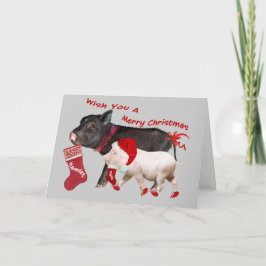 Cerdo Belly Merry Navidad