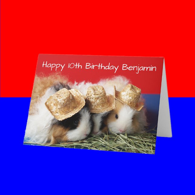 Cerdo de Guinea 8, 9, 10, etc. Tarjeta de cumpleañ (Subido por el creador)