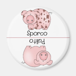 Cerdo de imán para lavavajillas limpio italiano