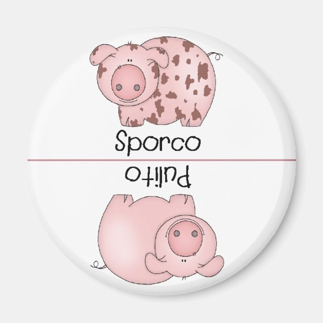 Cerdo de imán para lavavajillas limpio italiano (Frente)