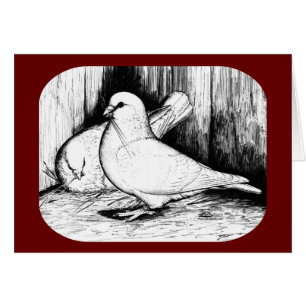 Cerdo de racha gigante