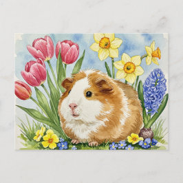 Cerdo guineano con postal de flores de primavera