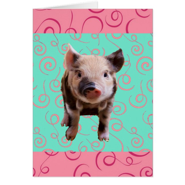 Cerdo lindo - remolinos del azul y del rosa (Frente)