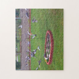 Cerdos despegando del rompecabezas del alimentador