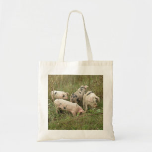 Cerdos en una bolsa de té de campo