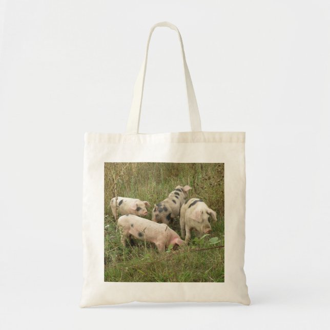 Cerdos en una bolsa de té de campo (Frente)