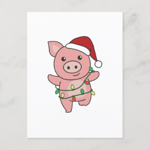 Cerdos Navidad Invierno Animales Cerdos