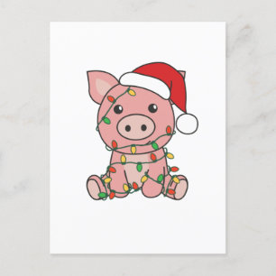 Cerdos Navidad Invierno Animales Cerdos