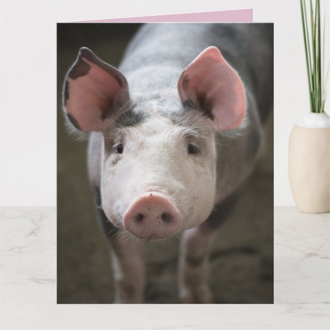 CERDOS Y BESOS TARJETA DE CERDO TARJETAS (Anverso)