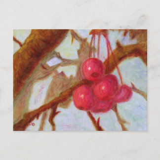 Cerezas, postal