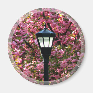 Cerezo Blossom Y Favor De Imán De Lámpara