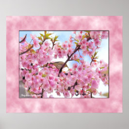 Cerezo en flor "Kawazu-Zakura" póster