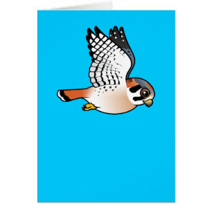 Cernícalo americano en vuelo