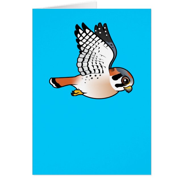 Cernícalo americano en vuelo (Frente)