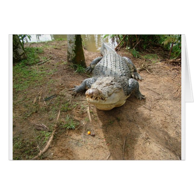 Cerrar llamada (Anverso (Horizontal))