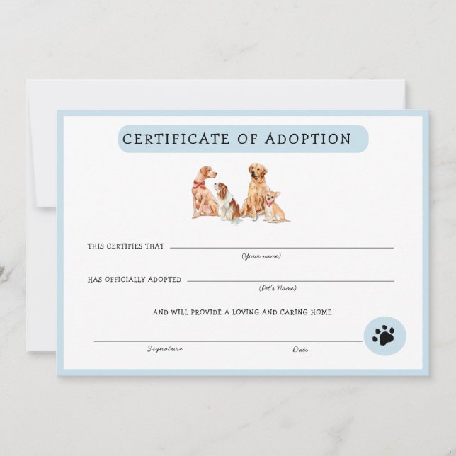 Certificado de adopción de porcino azul y blanco (Anverso)