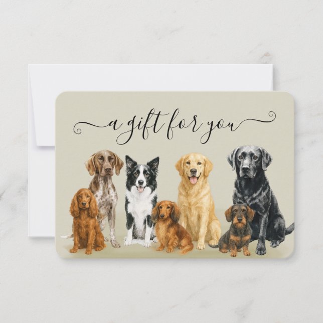 Certificado de embarque de Mascota de Grooming par (Anverso)