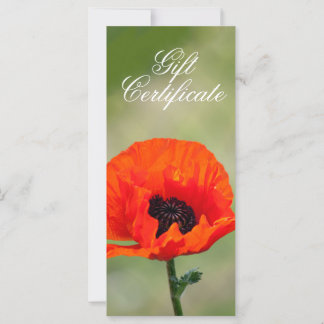 Certificado de regalo de flor de amapola roja
