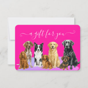 Certificado de regalo para alojamiento de mascotas