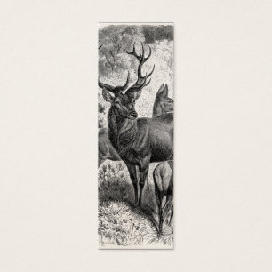 Cervatillo de la gama del macho del ilustracion
