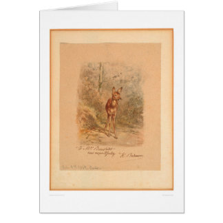 Cervatillo en el bosque (0567A)
