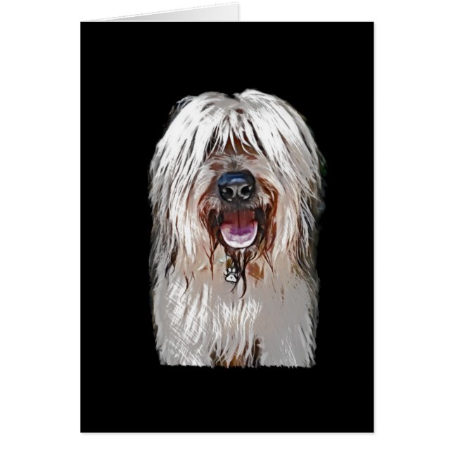 Cervatillo sonriente Briard (Frente)