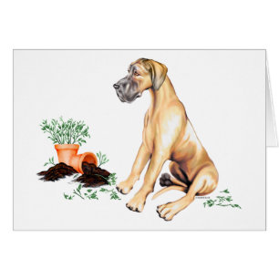 Cervatillo travieso UC del perrito de great dane