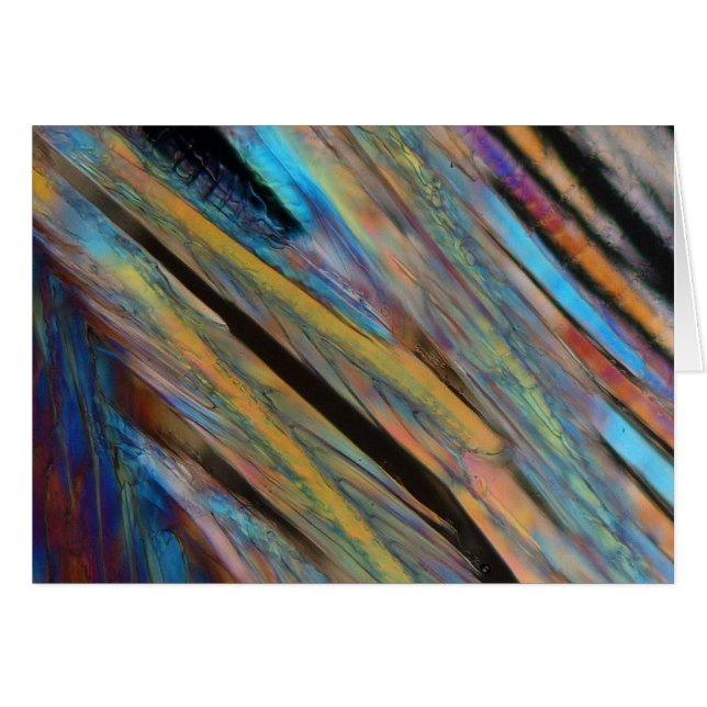 Cerveza debajo del microscopio (Anverso (Horizontal))