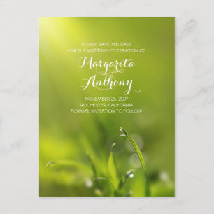 césped verde de rocío elegante salvar las postales