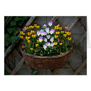 Cesta Con Violas