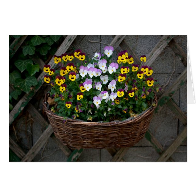 Cesta Con Violas (Anverso (Horizontal))