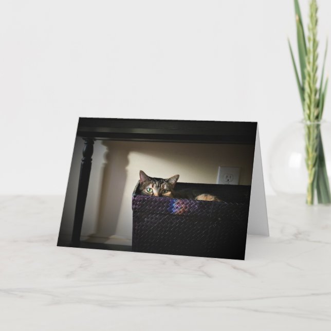 Cesta de gato, tarjeta (Anverso)