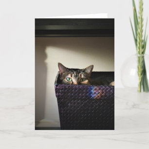 Cesta de gato, tarjeta