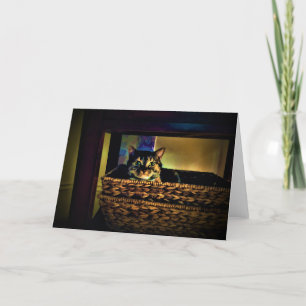 Cesta de gato, tarjeta