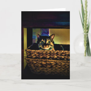 Cesta de gato, tarjeta