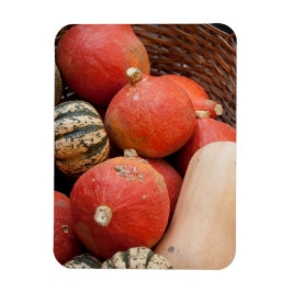 Cesta de imán de calabazas