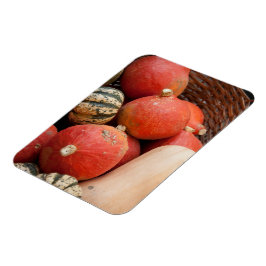 Cesta de imán de calabazas