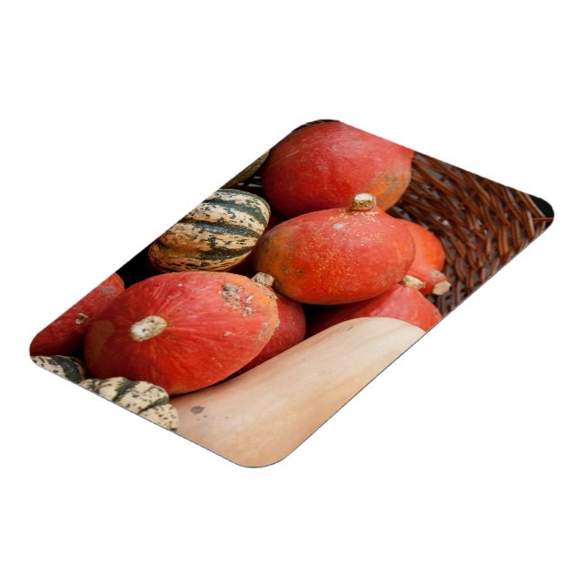 Cesta de imán de calabazas (Lado Izquierdo)