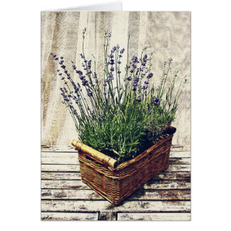 cesta de la lavanda