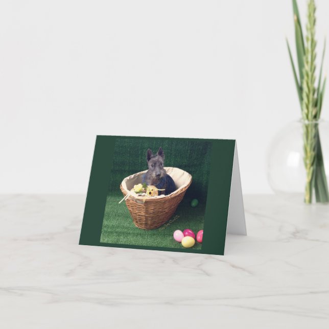 Cesta de Pascua (Anverso)