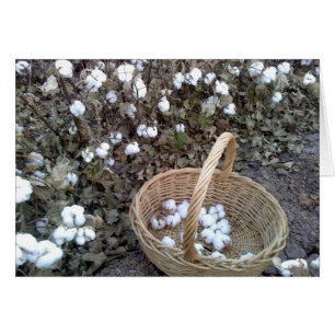 Cesta de Pollos de Algodón