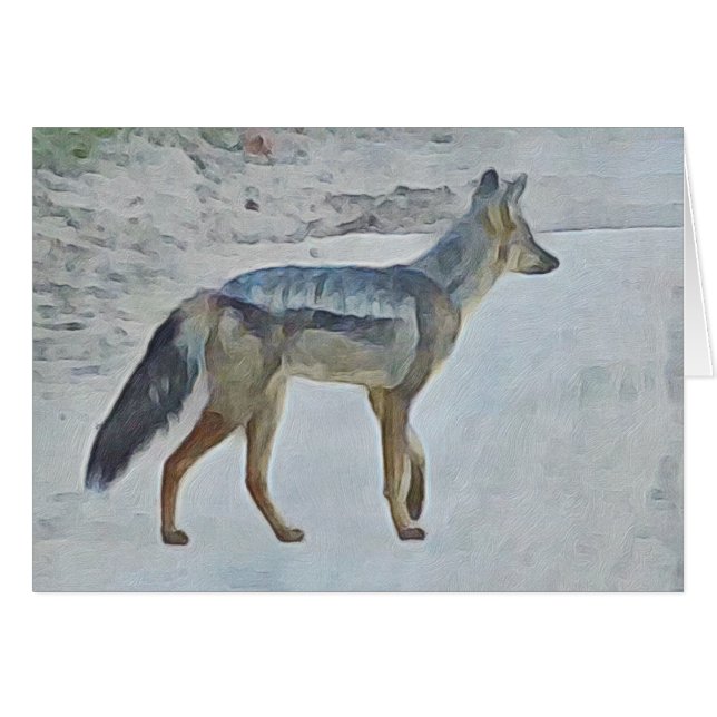 Chacal (Anverso (Horizontal))