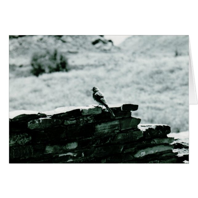 Chaco Bird Card (Anverso (Horizontal))