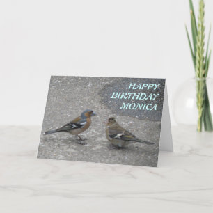 Chaffinch Feed Me Personalizado Tarjeta de felicit