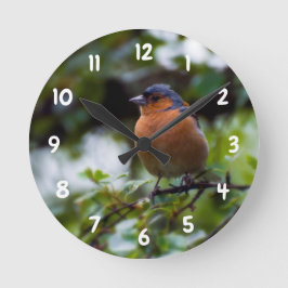 Chaffinch sobre una rama Reloj de pared acrílico