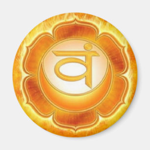 Chakra - sacro - imán